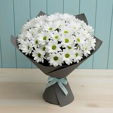 Букет цветов из:  Хризантемы #REPLACE_PRED# Благовещенской