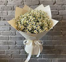Букет цветов из:  Ромашки в Благовещенской