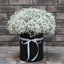 Цветочная композиция из Гипсофила в шляпной коробке в Благовещенской