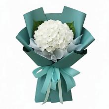 Букет цветов из:  Гортензия в Благовещенской